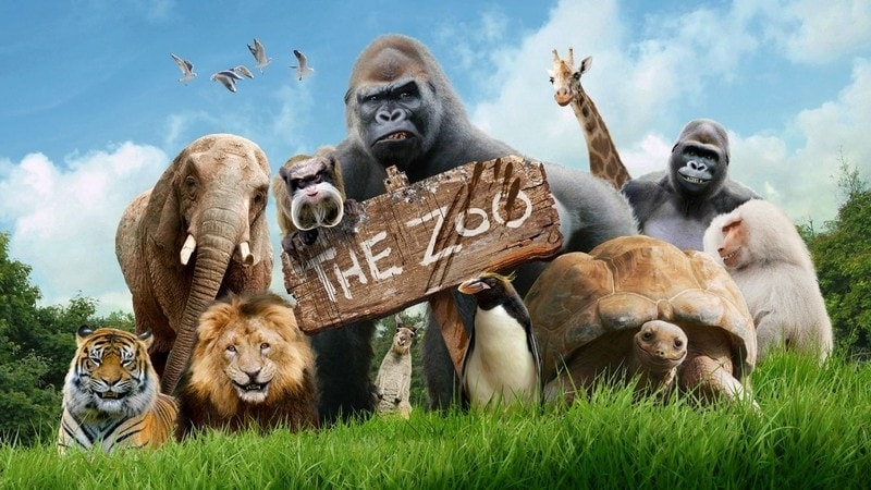 zoo dream meaning, dream about zoo, zoo dream interpretation, seeing in a dream zoo