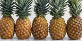 Pineapple Dream Meaning