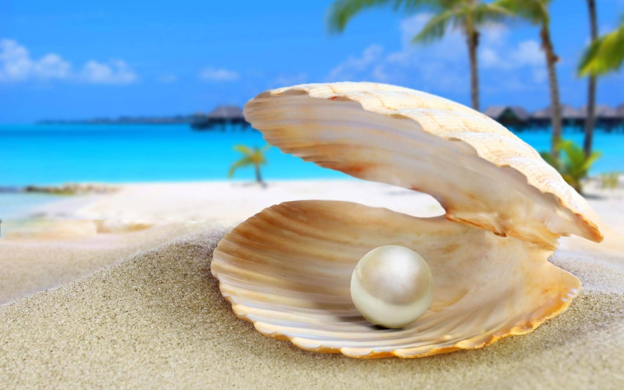 pearl dream meaning, dream about pearl, pearl dream interpretation, seeing in a dream pearl