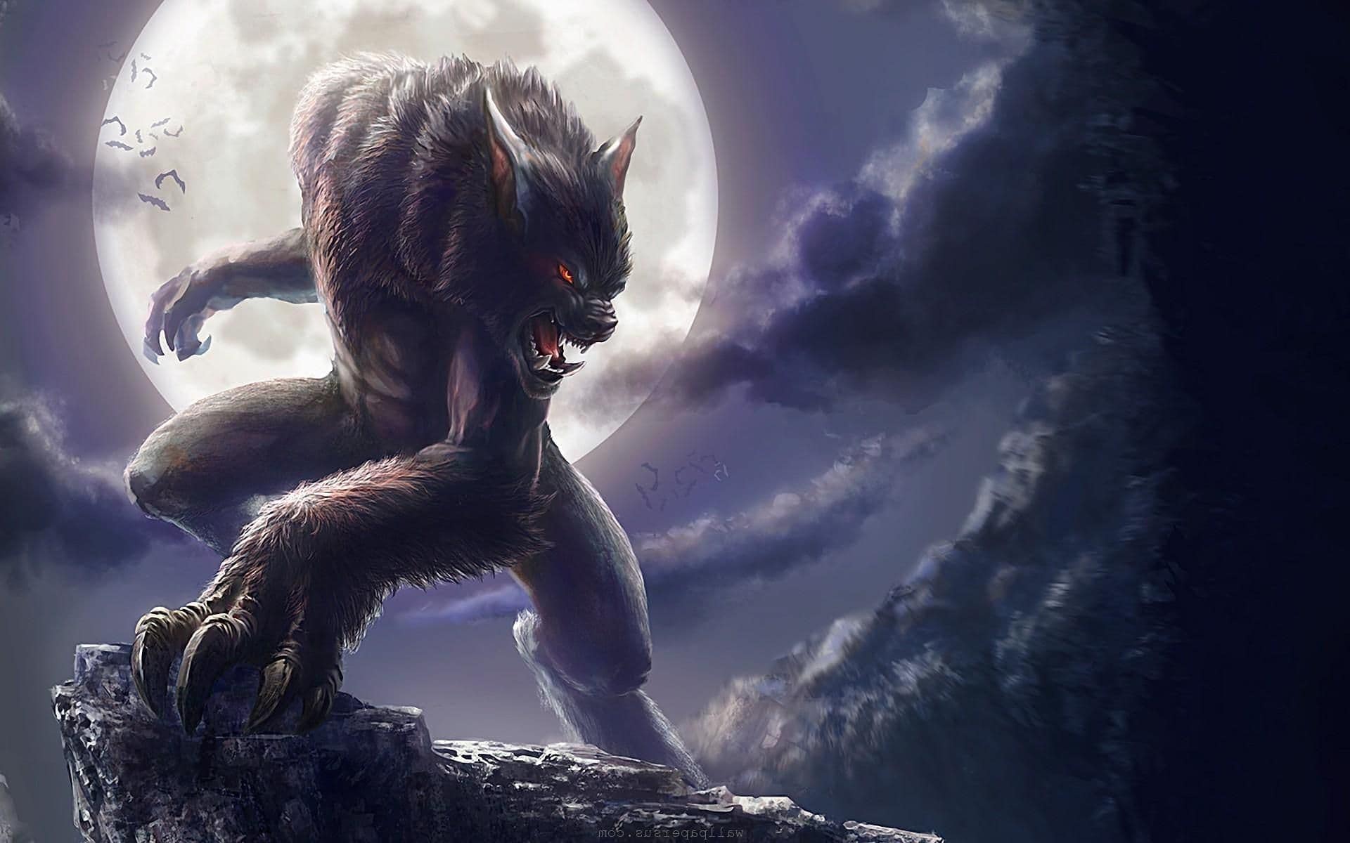werewolf dream meaning, dream about werewolf, werewolf dream interpretation, seeing in a dream werewolf