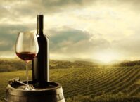 Wine Dream Meaning