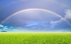 Rainbow Dream Meaning