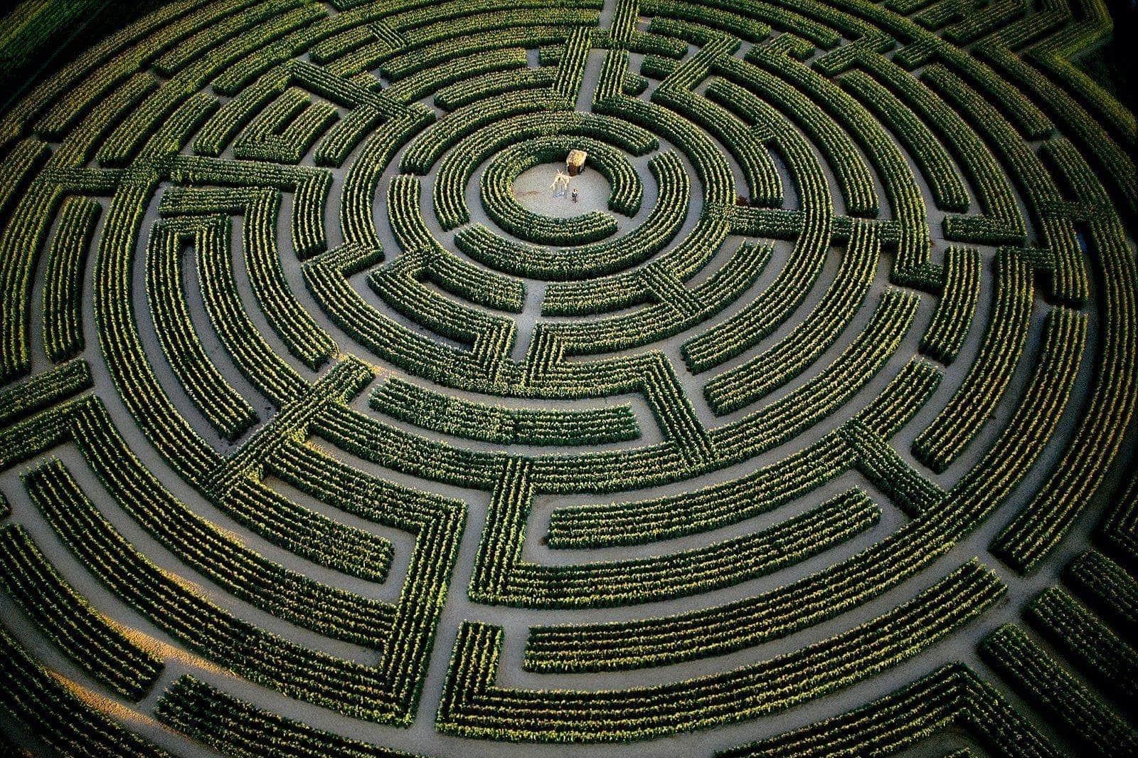 labyrinth dream meaning, dream about labyrinth, labyrinth dream interpretation, seeing in a dream labyrinth