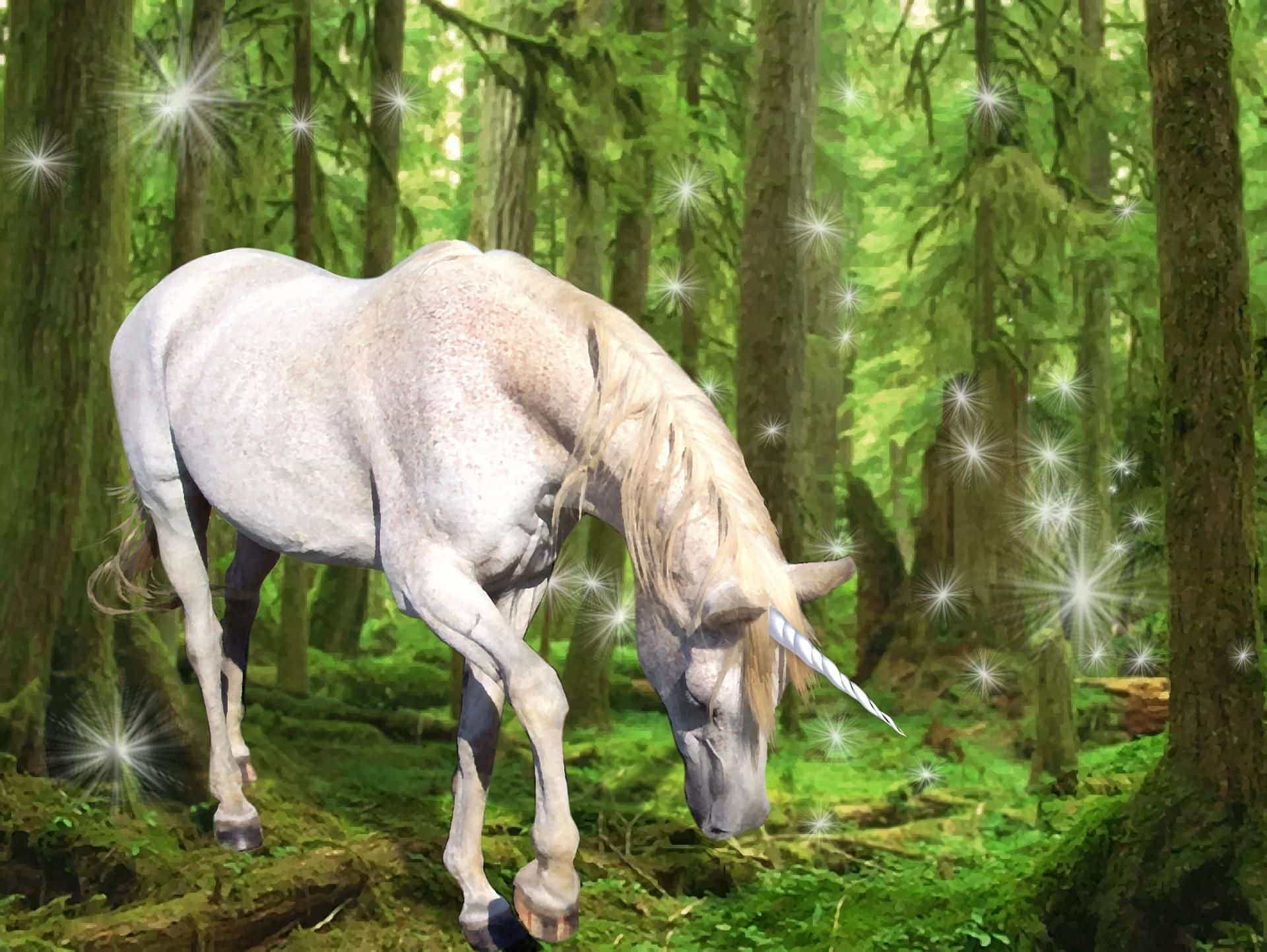 unicorn dream meaning, dream about unicorn, unicorn dream interpretation, seeing in a dream unicorn