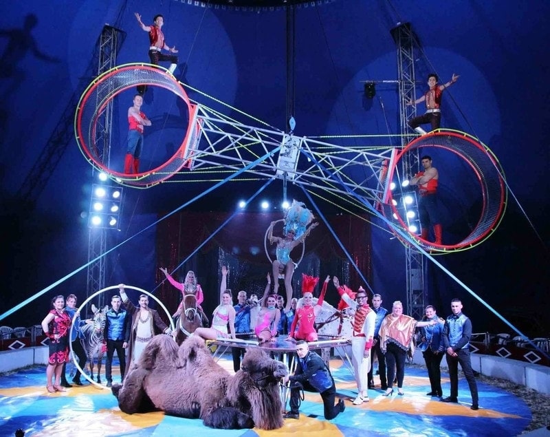 circus dream meaning, dream about circus, circus dream interpretation, seeing in a dream circus
