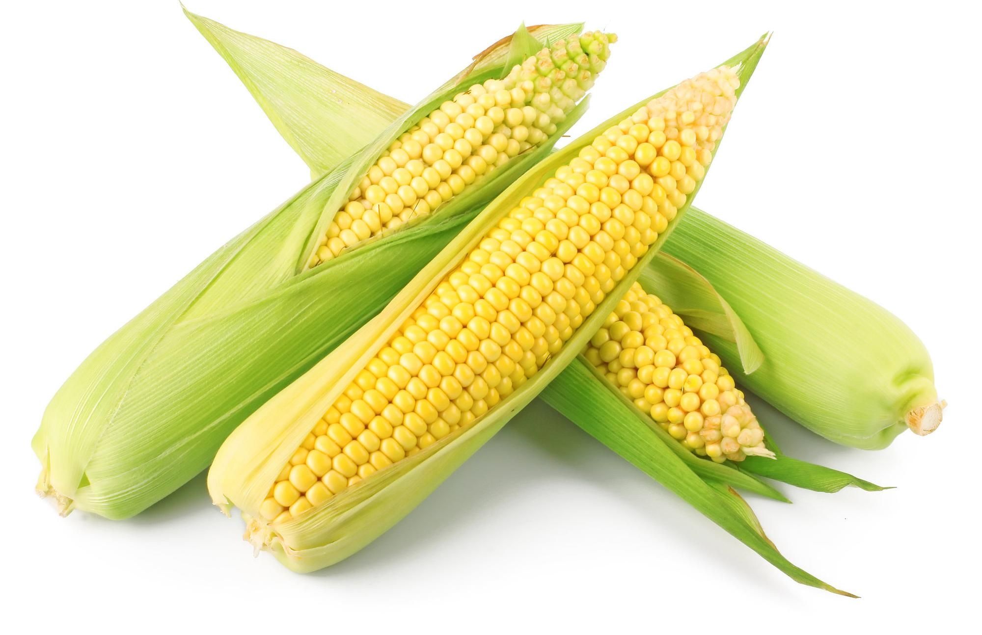 corn dream meaning