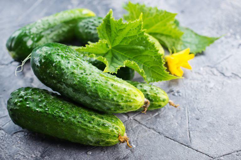Cucumber Dream Meaning Get Your Dream Interpretation Now 