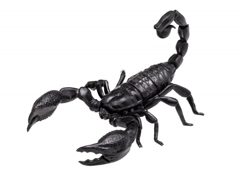 scorpion dream meaning, dream about scorpion, scorpion dream interpretation, seeing in a dream scorpion