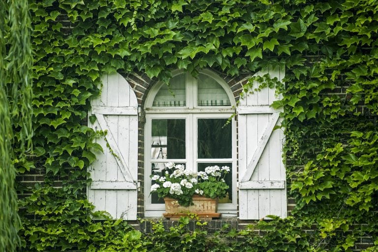 Window Dream Meaning Get Your Dream Interpretation Now 