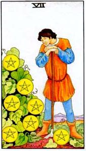 Seven of Pentacles Tarot