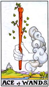 Ace of Wands Tarot